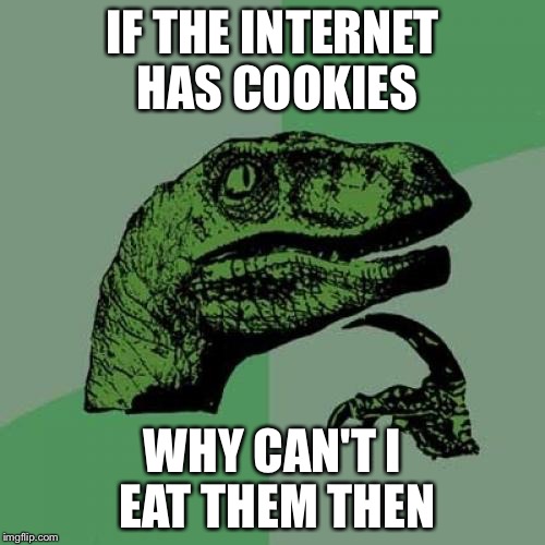 Philosoraptor Meme | IF THE INTERNET HAS COOKIES; WHY CAN'T I EAT THEM THEN | image tagged in memes,philosoraptor | made w/ Imgflip meme maker