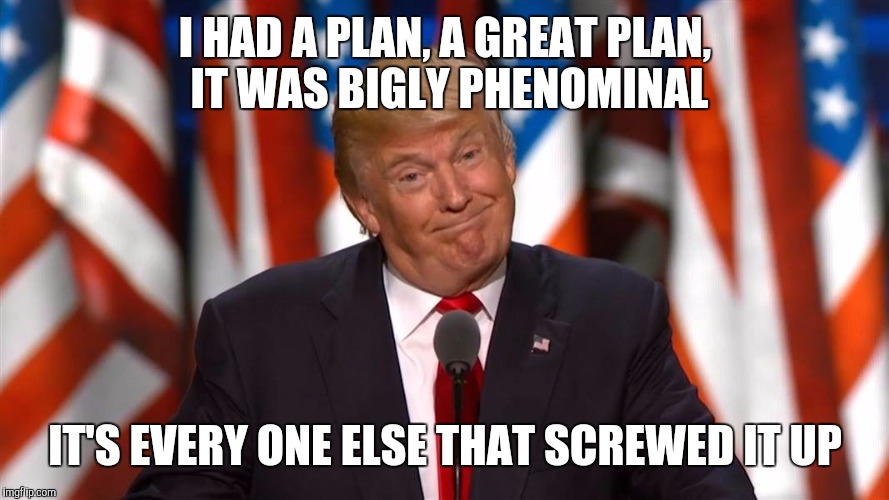 I HAD A PLAN, A GREAT PLAN, IT WAS BIGLY PHENOMINAL IT'S EVERY ONE ELSE THAT SCREWED IT UP | made w/ Imgflip meme maker