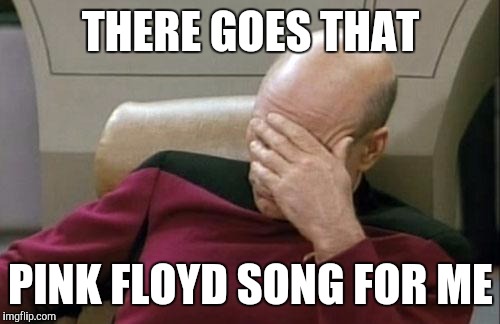 Captain Picard Facepalm Meme | THERE GOES THAT PINK FLOYD SONG FOR ME | image tagged in memes,captain picard facepalm | made w/ Imgflip meme maker