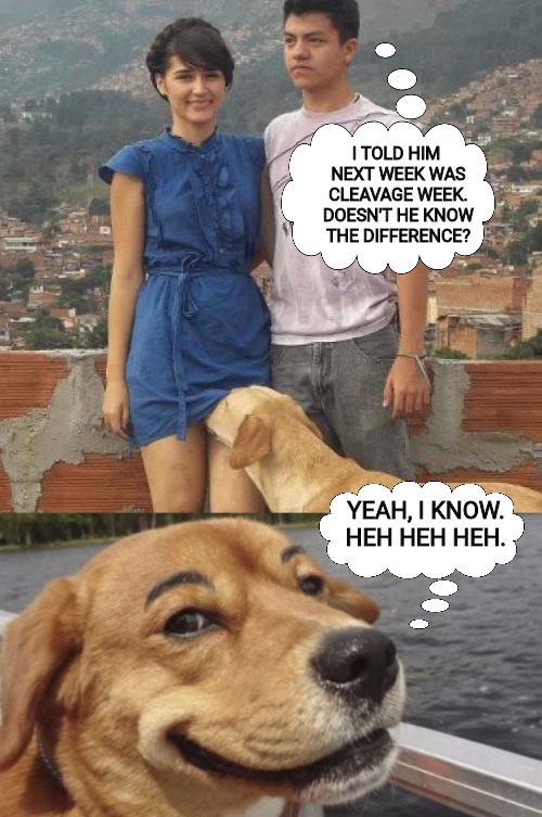 This week us Dog Werk. Cleavage week is next week. This was as close as I could come to a promo | I TOLD HIM NEXT WEEK WAS CLEAVAGE WEEK. DOESN'T HE KNOW THE DIFFERENCE? YEAH, I KNOW. HEH HEH HEH. | image tagged in dog week,cleavage week,promo | made w/ Imgflip meme maker