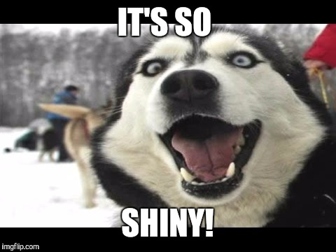 IT'S SO SHINY! | made w/ Imgflip meme maker