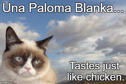 Grumpy Cat Sky | Una Paloma Blanka... Tastes just like chicken. | image tagged in memes,grumpy cat sky,grumpy cat | made w/ Imgflip meme maker
