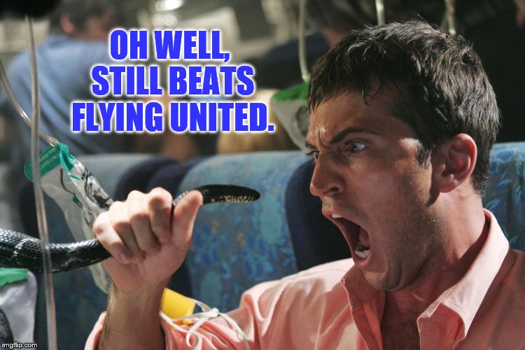 Now That's Just Plane Wrong | OH WELL, STILL BEATS FLYING UNITED. | image tagged in united airlines | made w/ Imgflip meme maker