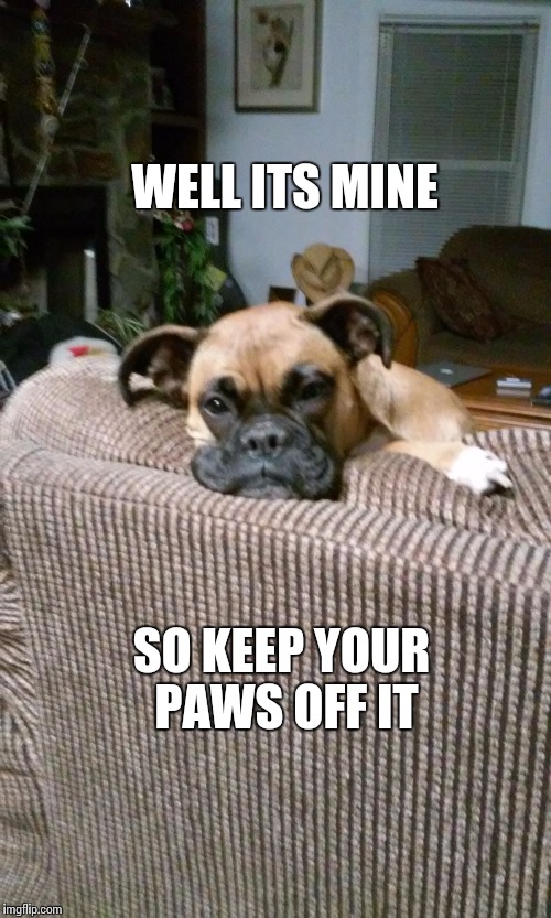 WELL ITS MINE SO KEEP YOUR PAWS OFF IT | made w/ Imgflip meme maker