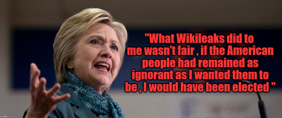 "What Wikileaks did to me wasn't fair , if the American people had remained as ignorant as I wanted them to be , I would have been elected " | image tagged in hillary clinton's perspective | made w/ Imgflip meme maker