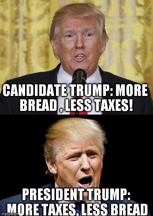 Trump Promises and Trump Delivers! | CANDIDATE TRUMP: MORE BREAD , LESS TAXES! PRESIDENT TRUMP: MORE TAXES, LESS BREAD | image tagged in trump,sylvie and brunno,politics,humor | made w/ Imgflip meme maker