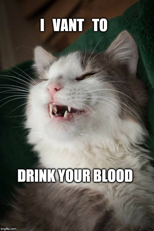 I vant to drink your blood | I   VANT   TO; DRINK YOUR BLOOD | image tagged in vampire cat | made w/ Imgflip meme maker