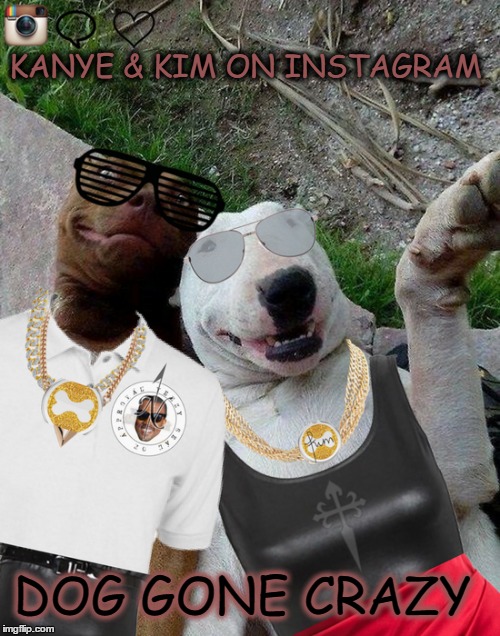  TMZ Puparazzi reveals Ruff photos of celebrity couples during 'dog week' |  KANYE & KIM ON INSTAGRAM; DOG GONE CRAZY | image tagged in kayne west,kim k,dog week,memes,crazy dog | made w/ Imgflip meme maker