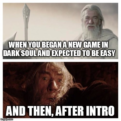 Playing Dark Souls II the first time would be like.... | WHEN YOU BEGAN A NEW GAME IN DARK SOUL AND EXPECTED TO BE EASY; AND THEN, AFTER INTRO | image tagged in dark souls 2 | made w/ Imgflip meme maker