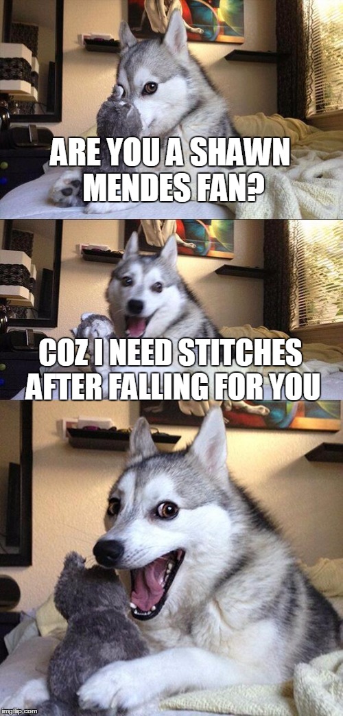 Pick up line alert | ARE YOU A SHAWN MENDES FAN? COZ I NEED STITCHES AFTER FALLING FOR YOU | image tagged in memes,bad pun dog,shawn mendes,subtle pickup liner | made w/ Imgflip meme maker