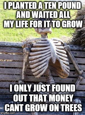 Waiting Skeleton | I PLANTED A TEN POUND AND WAITED ALL MY LIFE FOR IT TO GROW; I ONLY JUST FOUND OUT THAT MONEY CANT GROW ON TREES | image tagged in memes,waiting skeleton | made w/ Imgflip meme maker
