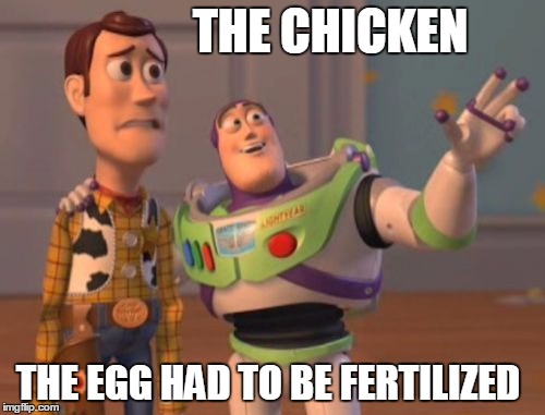 X, X Everywhere Meme | THE CHICKEN THE EGG HAD TO BE FERTILIZED | image tagged in memes,x x everywhere | made w/ Imgflip meme maker