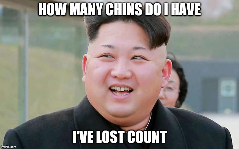 HOW MANY CHINS DO I HAVE; I'VE LOST COUNT | image tagged in kim jong un | made w/ Imgflip meme maker