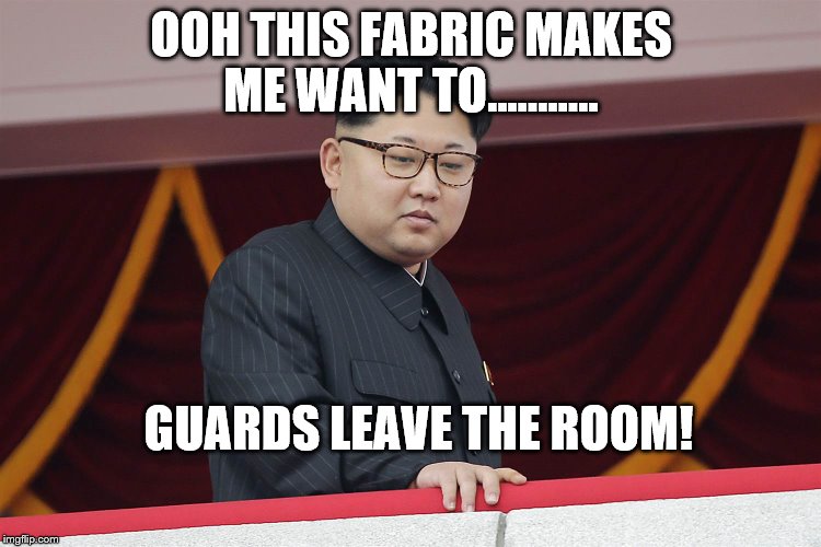 OOH THIS FABRIC MAKES ME WANT TO........... GUARDS LEAVE THE ROOM! | image tagged in kim jong un | made w/ Imgflip meme maker