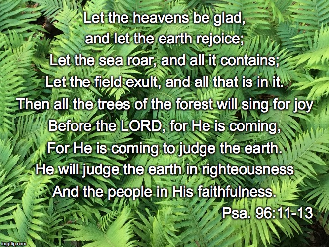 Let the heavens be glad, and let the earth rejoice;; Let the sea roar, and all it contains;; Let the field exult, and all that is in it. Then all the trees of the forest will sing for joy; Before the LORD, for He is coming, For He is coming to judge the earth. He will judge the earth in righteousness; And the people in His faithfulness. Psa. 96:11-13 | image tagged in joy | made w/ Imgflip meme maker