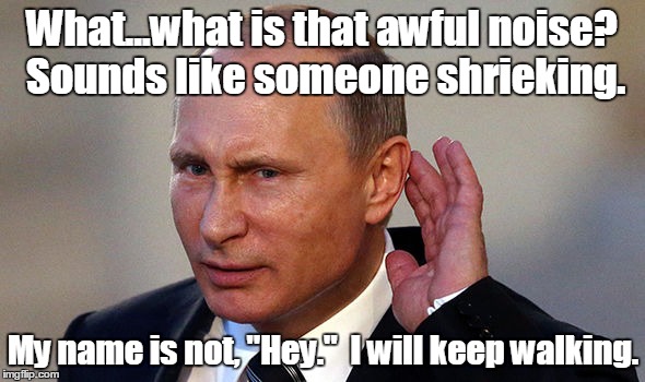 Putin put...955.jpg | What...what is that awful noise? Sounds like someone shrieking. My name is not, "Hey."  I will keep walking. | image tagged in putin put955jpg | made w/ Imgflip meme maker