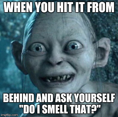 Gollum Meme | WHEN YOU HIT IT FROM; BEHIND AND ASK YOURSELF "DO I SMELL THAT?" | image tagged in memes,gollum | made w/ Imgflip meme maker
