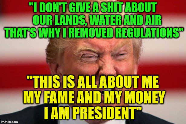 POTUS | "I DON'T GIVE A SHIT ABOUT    OUR LANDS, WATER AND AIR THAT'S WHY I REMOVED REGULATIONS"; "THIS IS ALL ABOUT ME MY FAME AND MY MONEY      I AM PRESIDENT" | image tagged in potus | made w/ Imgflip meme maker