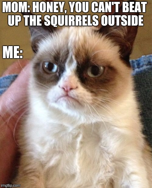 Grumpy Cat Meme | MOM: HONEY, YOU CAN'T BEAT UP THE SQUIRRELS OUTSIDE; ME: | image tagged in memes,grumpy cat | made w/ Imgflip meme maker