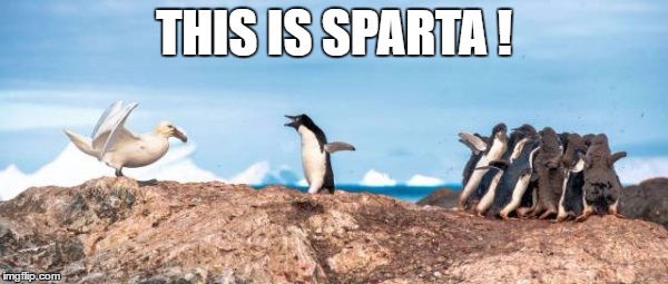 This is Sparta | THIS IS SPARTA ! | image tagged in funny,funny animals | made w/ Imgflip meme maker