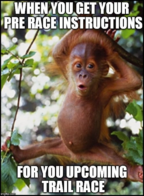 excited monkey | WHEN YOU GET YOUR PRE RACE INSTRUCTIONS; FOR YOU UPCOMING TRAIL RACE | image tagged in excited monkey | made w/ Imgflip meme maker