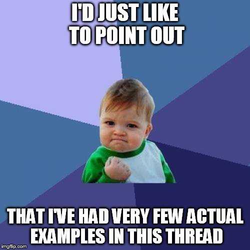 Success Kid Meme | I'D JUST LIKE TO POINT OUT; THAT I'VE HAD VERY FEW ACTUAL EXAMPLES IN THIS THREAD | image tagged in memes,success kid | made w/ Imgflip meme maker