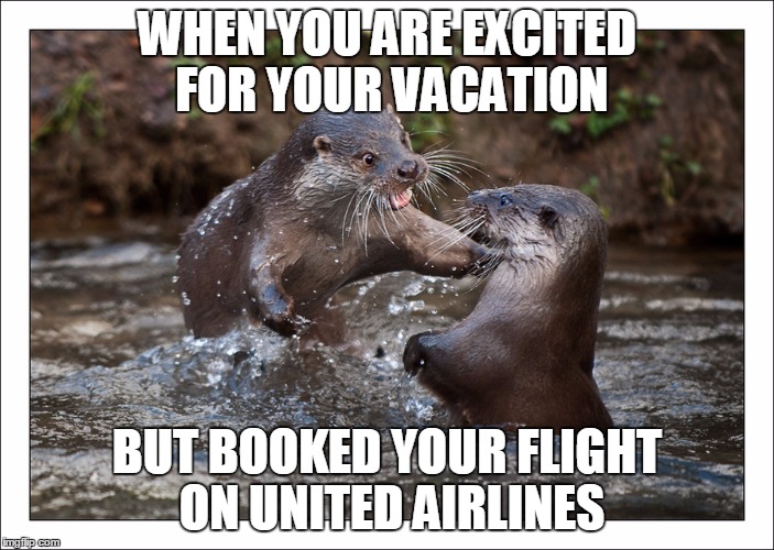 WHEN YOU ARE EXCITED FOR YOUR VACATION; BUT BOOKED YOUR FLIGHT ON UNITED AIRLINES | image tagged in otter,united airlines | made w/ Imgflip meme maker