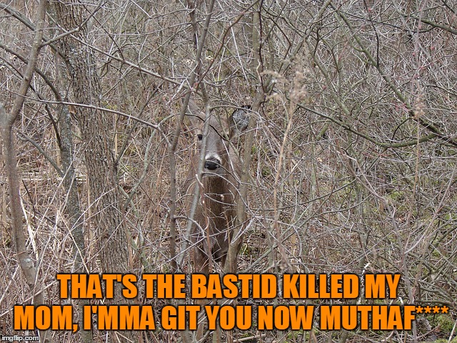 THAT'S THE BASTID KILLED MY MOM, I'MMA GIT YOU NOW MUTHAF**** | made w/ Imgflip meme maker