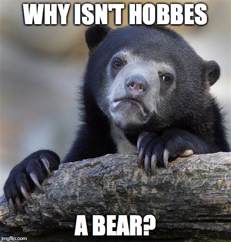 Confession Bear Meme | WHY ISN'T HOBBES; A BEAR? | image tagged in memes,confession bear | made w/ Imgflip meme maker