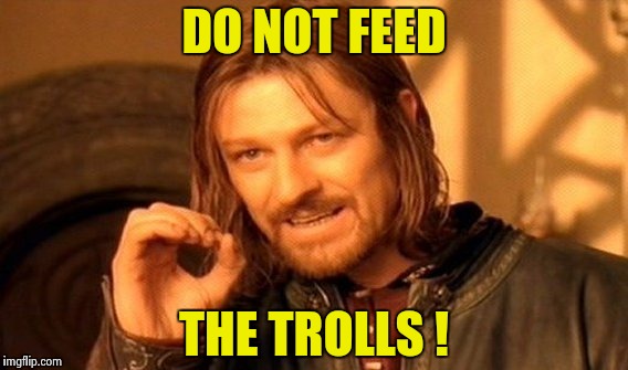 One Does Not Simply Meme | DO NOT FEED THE TROLLS ! | image tagged in memes,one does not simply | made w/ Imgflip meme maker