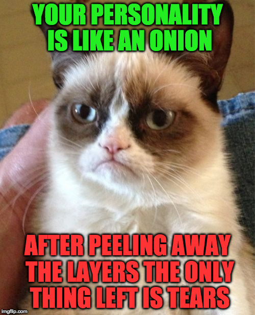 whenever I meet someone new | YOUR PERSONALITY IS LIKE AN ONION; AFTER PEELING AWAY THE LAYERS THE ONLY THING LEFT IS TEARS | image tagged in memes,grumpy cat | made w/ Imgflip meme maker