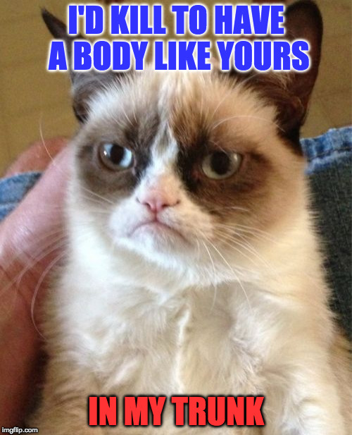 when you see someone who spends their life in the gym | I'D KILL TO HAVE A BODY LIKE YOURS; IN MY TRUNK | image tagged in memes,grumpy cat | made w/ Imgflip meme maker