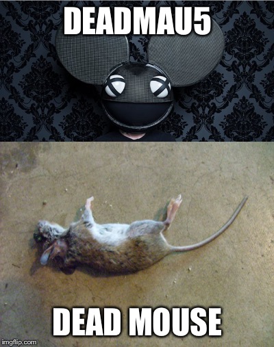 Deadmau5 vs dead mouse  | DEADMAU5; DEAD MOUSE | image tagged in original meme,meme | made w/ Imgflip meme maker