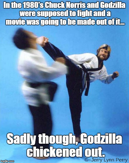 We all fear the Chuck... |  In the 1980's Chuck Norris and Godzilla were supposed to fight and a movie was going to be made out of it... Sadly though, Godzilla chickened out. | image tagged in roundhouse kick chuck norris,godzilla | made w/ Imgflip meme maker