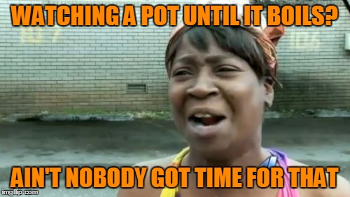Ain't Nobody Got Time For That Meme | WATCHING A POT UNTIL IT BOILS? AIN'T NOBODY GOT TIME FOR THAT | image tagged in memes,aint nobody got time for that | made w/ Imgflip meme maker