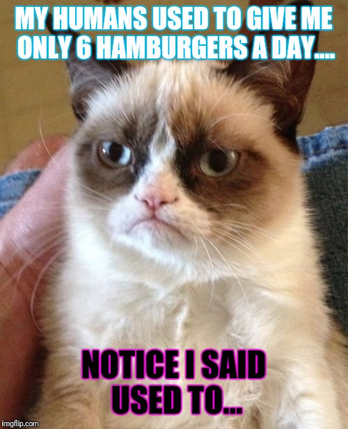 Grumpy Cat Meme | MY HUMANS USED TO GIVE ME ONLY 6 HAMBURGERS A DAY.... NOTICE I SAID USED TO... | image tagged in memes,grumpy cat | made w/ Imgflip meme maker