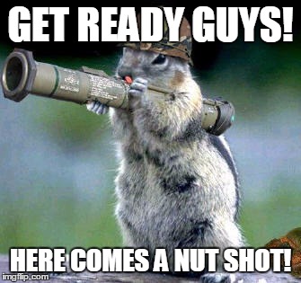 What nuts? | GET READY GUYS! HERE COMES A NUT SHOT! | image tagged in memes,bazooka squirrel | made w/ Imgflip meme maker