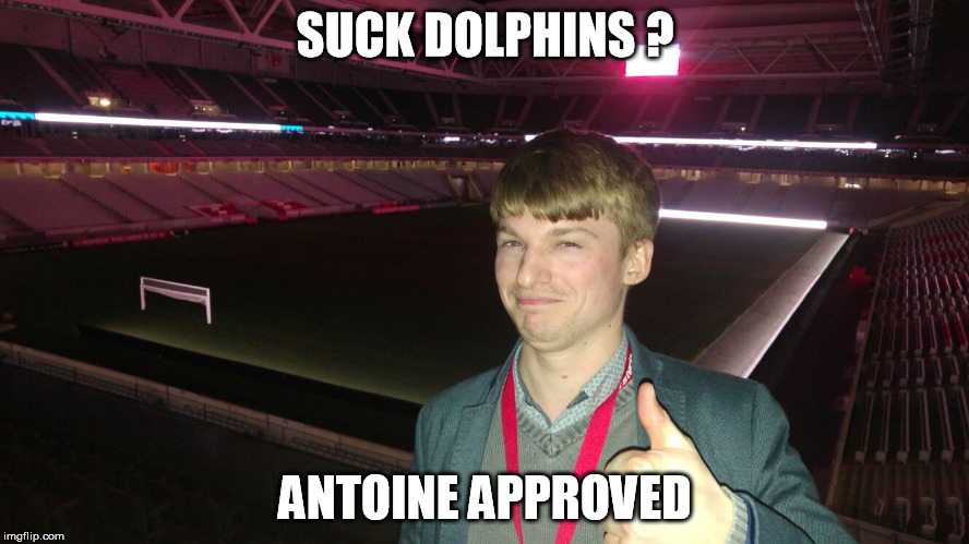 Antoine approuved | SUCK DOLPHINS ? ANTOINE APPROVED | image tagged in approuved,dolphin | made w/ Imgflip meme maker