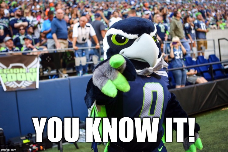 Blitz the Seahawk | YOU KNOW IT! | image tagged in blitz the seahawk | made w/ Imgflip meme maker