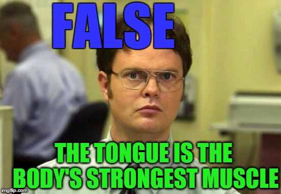 dwight | FALSE THE TONGUE IS THE BODY'S STRONGEST MUSCLE | image tagged in dwight | made w/ Imgflip meme maker
