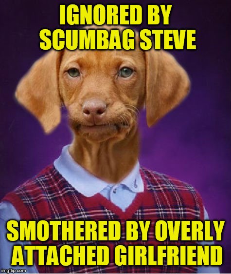 He can't win for losing during dog week a tiger.leo event | IGNORED BY SCUMBAG STEVE; SMOTHERED BY OVERLY ATTACHED GIRLFRIEND | image tagged in bad luck raydog,dog week | made w/ Imgflip meme maker