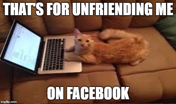 THAT'S FOR UNFRIENDING ME ON FACEBOOK | made w/ Imgflip meme maker