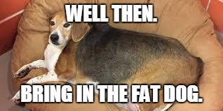 Remember that one weapon from the fallout series? Yeah. | WELL THEN. BRING IN THE FAT DOG. | image tagged in fallout,fat,dog,wmd | made w/ Imgflip meme maker