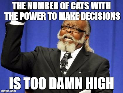 Too Damn High Meme | THE NUMBER OF CATS WITH THE POWER TO MAKE DECISIONS IS TOO DAMN HIGH | image tagged in memes,too damn high | made w/ Imgflip meme maker