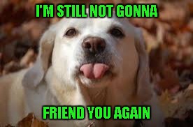 I'M STILL NOT GONNA FRIEND YOU AGAIN | made w/ Imgflip meme maker