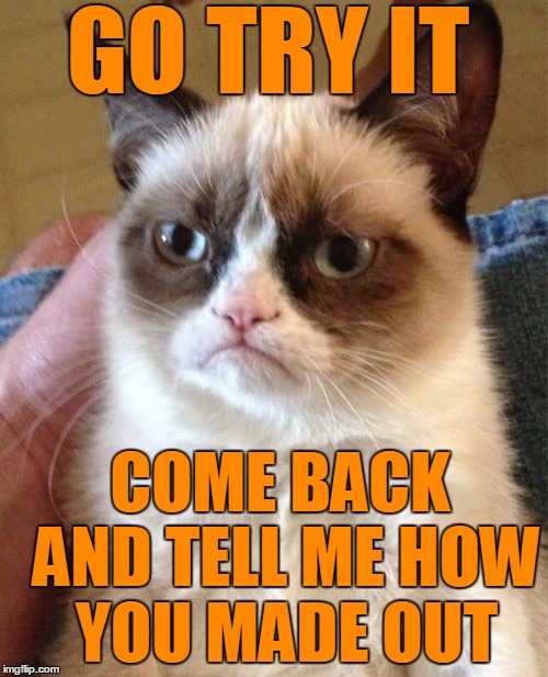 Grumpy Cat Meme | GO TRY IT COME BACK AND TELL ME HOW YOU MADE OUT | image tagged in memes,grumpy cat | made w/ Imgflip meme maker