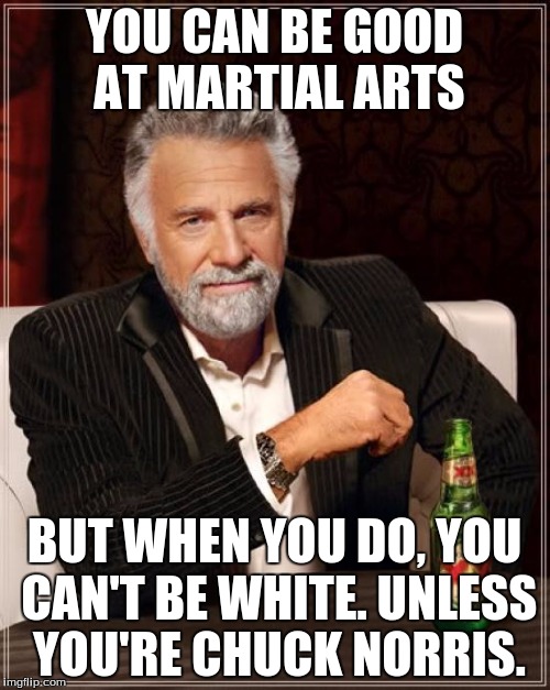 White martial artists in a nutshell | YOU CAN BE GOOD AT MARTIAL ARTS; BUT WHEN YOU DO, YOU CAN'T BE WHITE. UNLESS YOU'RE CHUCK NORRIS. | image tagged in memes,the most interesting man in the world,chuck norris approves | made w/ Imgflip meme maker
