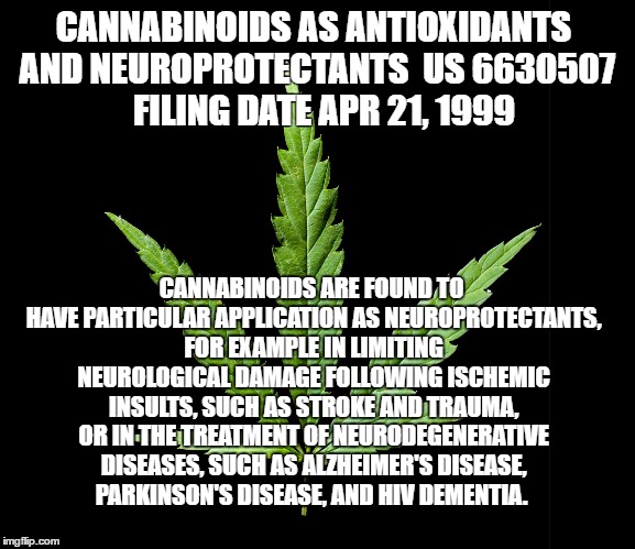 Cannabis/Marijuana leaf | CANNABINOIDS AS ANTIOXIDANTS AND NEUROPROTECTANTS 
US 6630507   FILING DATE	APR 21, 1999; CANNABINOIDS ARE FOUND TO HAVE PARTICULAR APPLICATION AS NEUROPROTECTANTS, FOR EXAMPLE IN LIMITING NEUROLOGICAL DAMAGE FOLLOWING ISCHEMIC INSULTS, SUCH AS STROKE AND TRAUMA, OR IN THE TREATMENT OF NEURODEGENERATIVE DISEASES, SUCH AS ALZHEIMER'S DISEASE, PARKINSON'S DISEASE, AND HIV DEMENTIA. | image tagged in cannabis/marijuana leaf | made w/ Imgflip meme maker