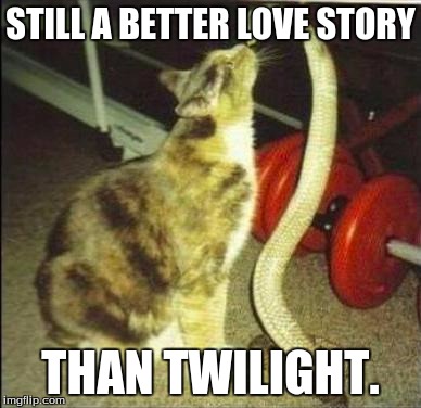 Catsnake | STILL A BETTER LOVE STORY; THAN TWILIGHT. | image tagged in catsnake | made w/ Imgflip meme maker