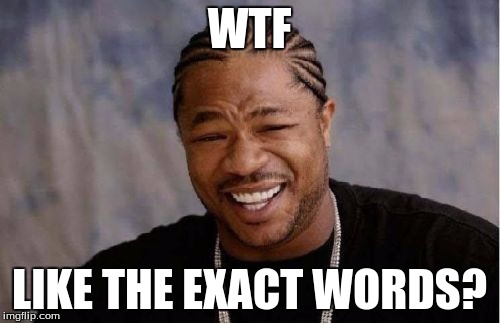 Yo Dawg Heard You Meme | WTF LIKE THE EXACT WORDS? | image tagged in memes,yo dawg heard you | made w/ Imgflip meme maker